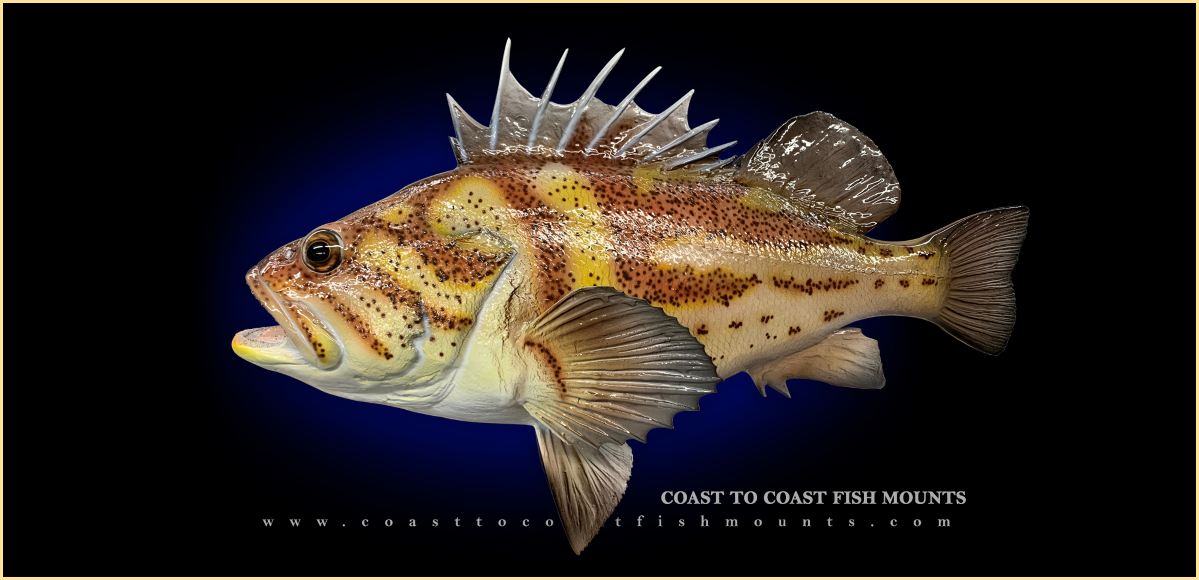 Snapper, Yelloweye - Fish Mounts