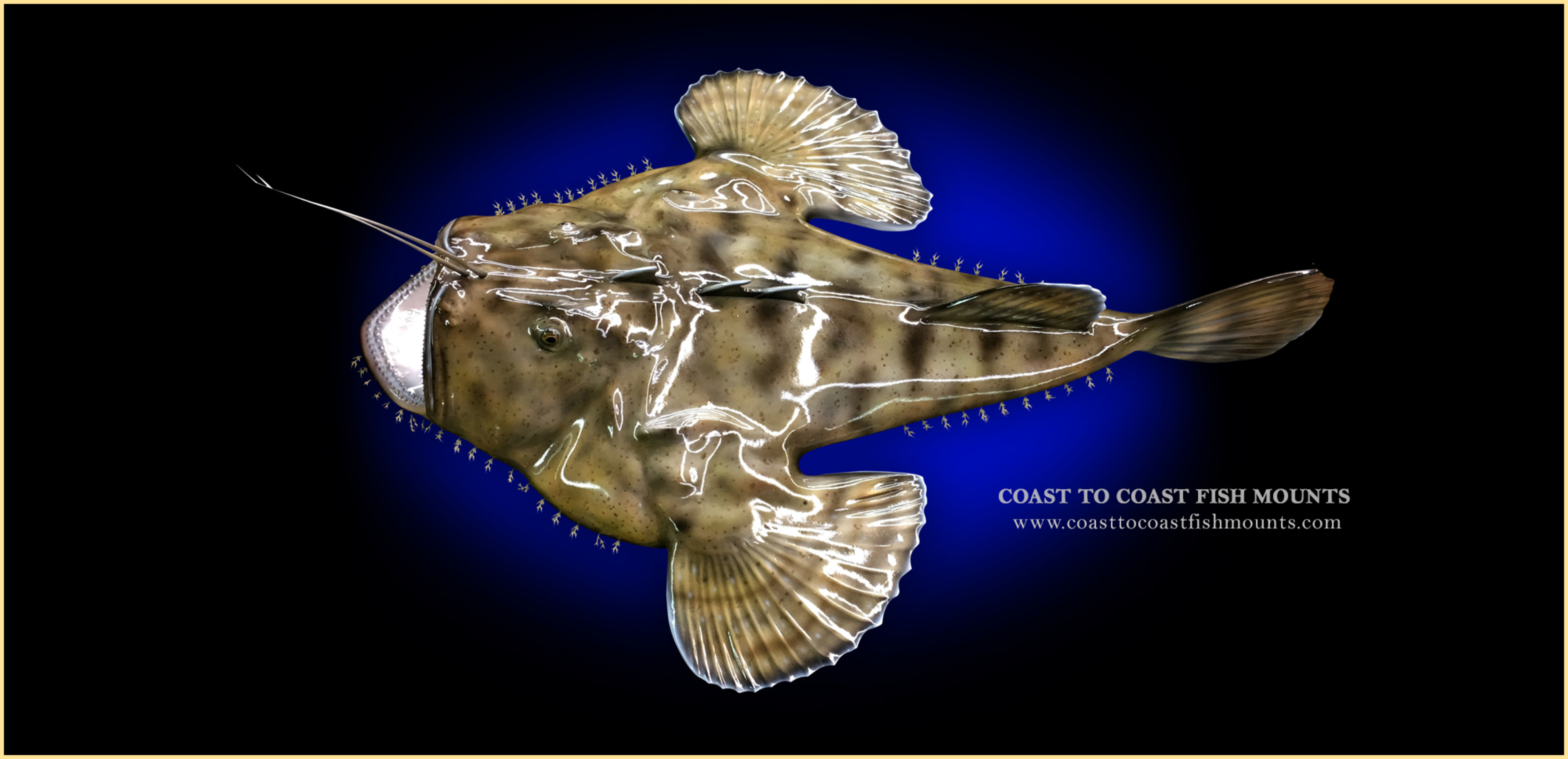 VERY RARE Beautifully Detailed Realistic Anglerfish 5" PVC Figure Angler Fish 