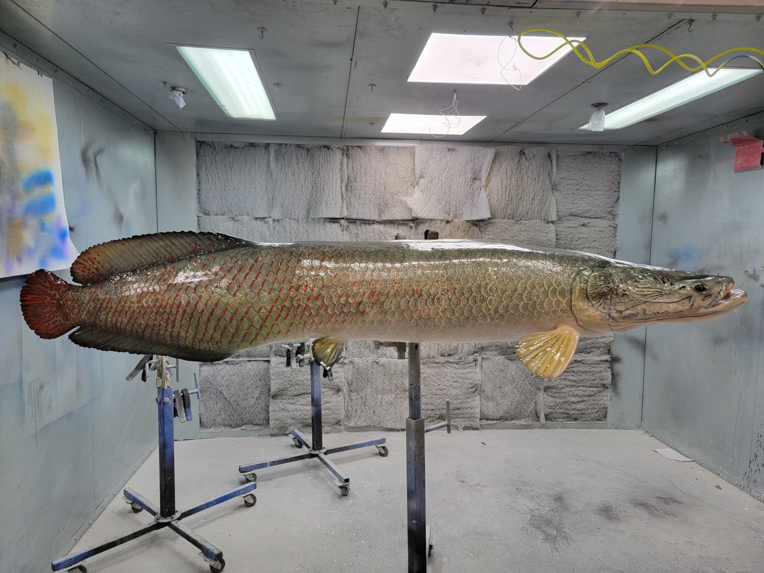 トップブリッジ FLAT ARAPAIMA（トップブリッジ フラット